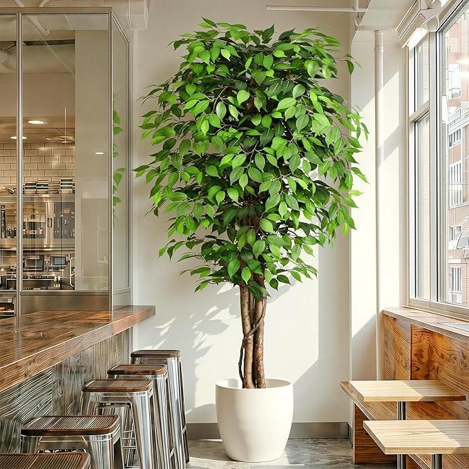 811A5oMHUxL._AC_SX679_-1.jpg 7ft Large Ficus Artificial Trees with Natural Curved Trunks, 84″ Tall Lush Faux Tree for Home Decor Indoor, Green Lifelike Fake Ficus Tree Artificial Plants in Pot(Set of 2) - Image 1