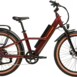 Rad Power Bikes Radsters Trail Electric Off-Road Bikes