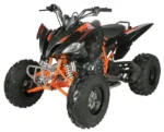 Regency PRO Ultra Sports 250cc ATV - Image 4