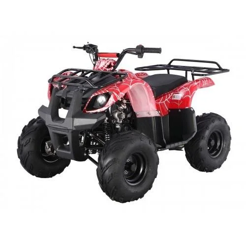 tao1-2-1.webp Tao Motors D125 Kids ATVs - Image 1
